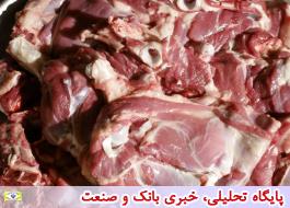 توزیع روزانه حدود 100 هزارتن گوشت گرم وارداتی در بازار